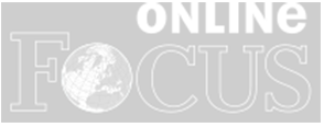 Das Online Focus Logo in Grau